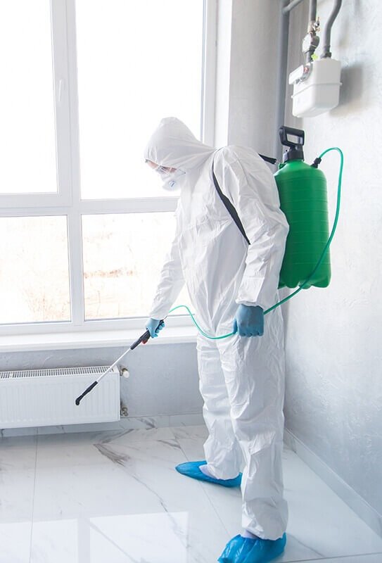 Spraying for mold remediation okc